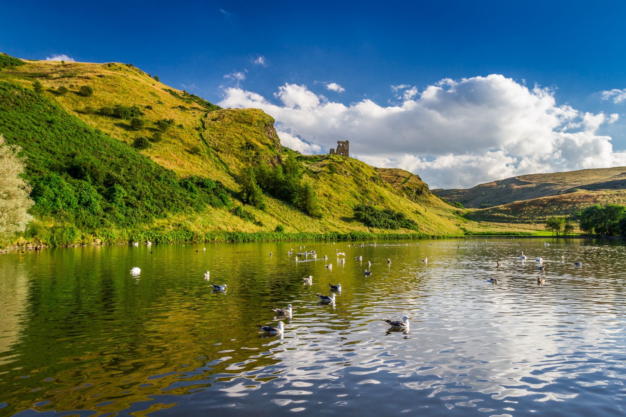 ISO 17298 Biodiversity Standard | Tunley Environmental